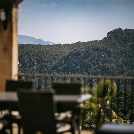 Hotel Del Marques